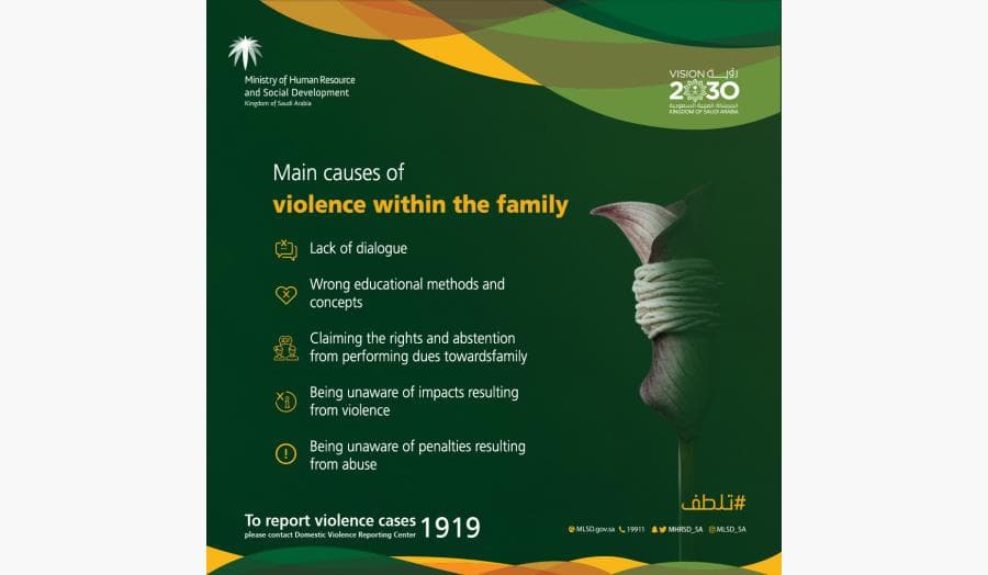 Main causes of violence within the family